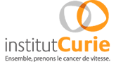 Institut Curie